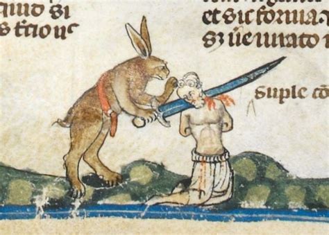 Killer rabbits and the hunt for the magical carrot
